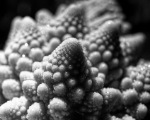 Romanesco